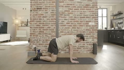 Plank Scapula Push-Up